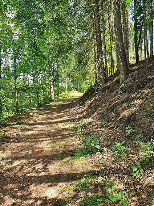 SchwalbenTour - Nesselbachtal