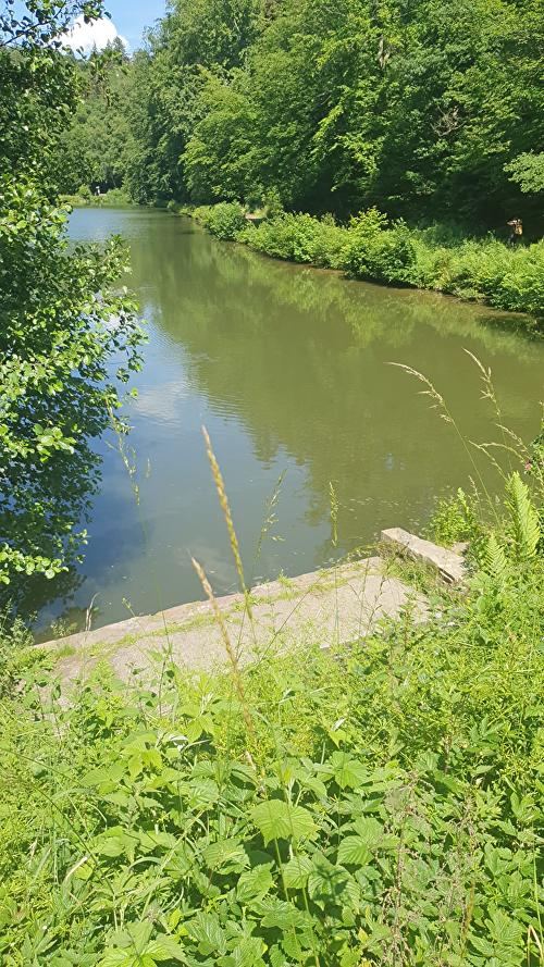 SchwalbenTour - Gleisbachtal