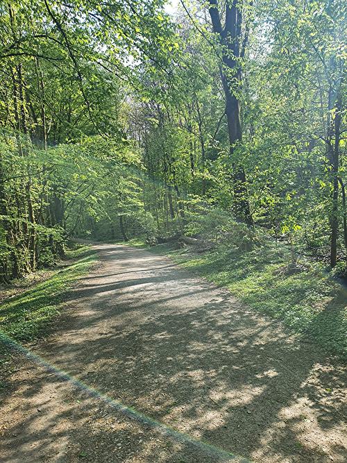 Themenweg Wasser Nerotal