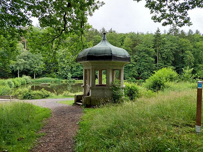 Röthelbachtal - Eule