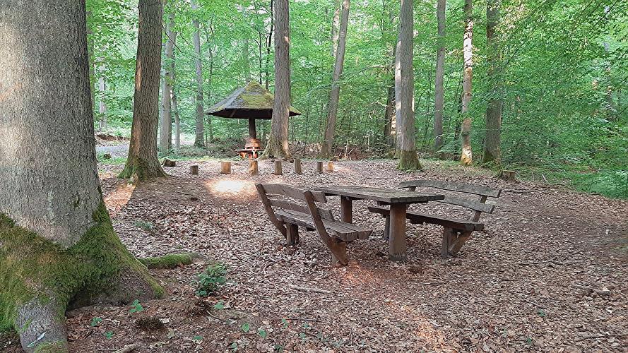 Walderlebnispfad Palmbachtal (Eule)