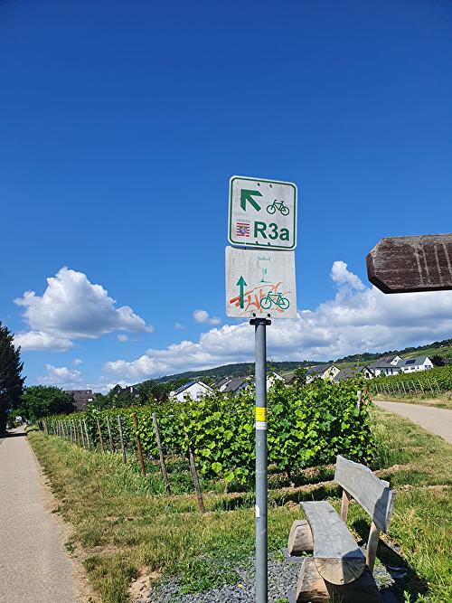 Hessischer Radfernweg durch die Weinberge R3a