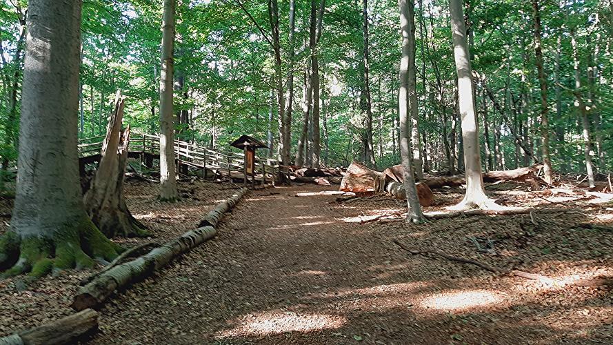 Walderlebnispfad Neroberg