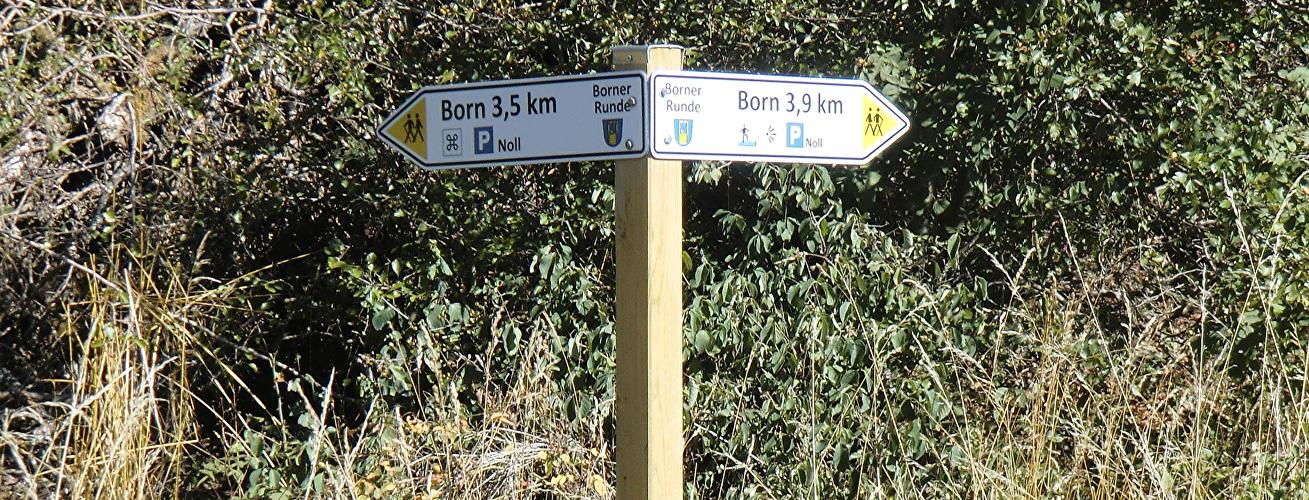 Borner Runde