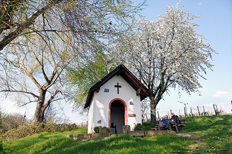 Riesling Schleife - Kräuter und Blumen