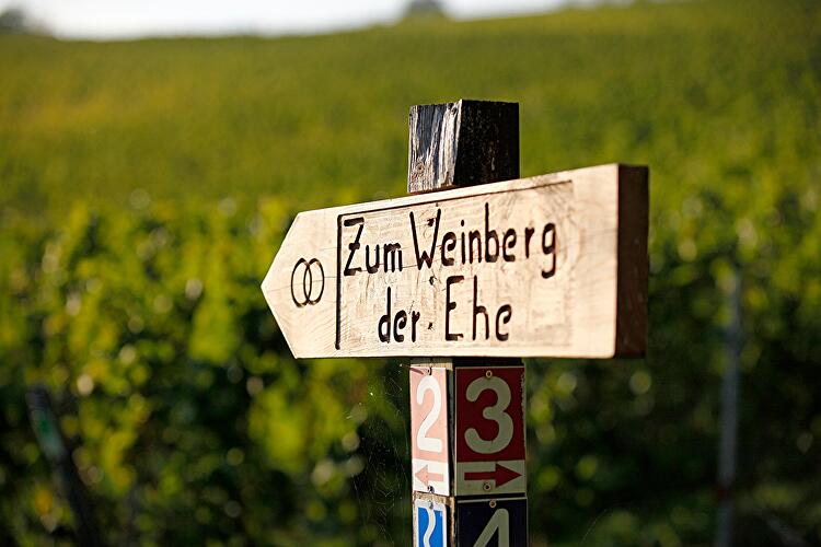 Riesling Schleife - Terroir? Terroir!