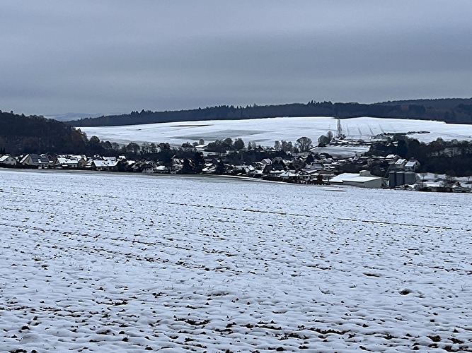 Palmbachtal - Forelle