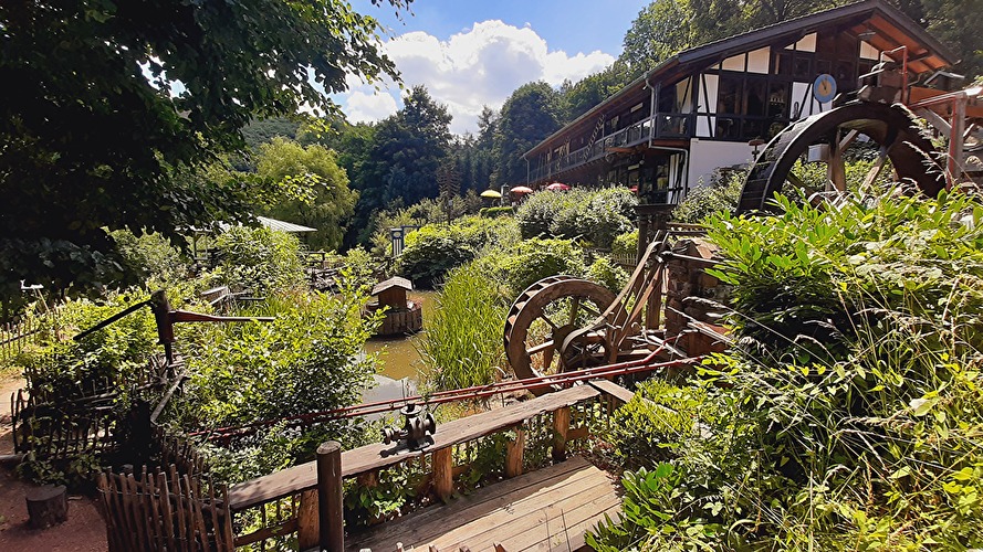 Schlangenbader Waldpfade - Über die Kuckucksley